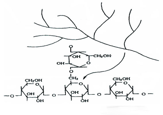 淀粉基分子結(jié)構(gòu)圖